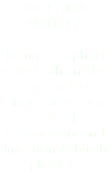 TOUCHING AMERICA Being a prophetic voice to the nation through persistent prayer, advocacy, cultural engagement and intentional church planting. 